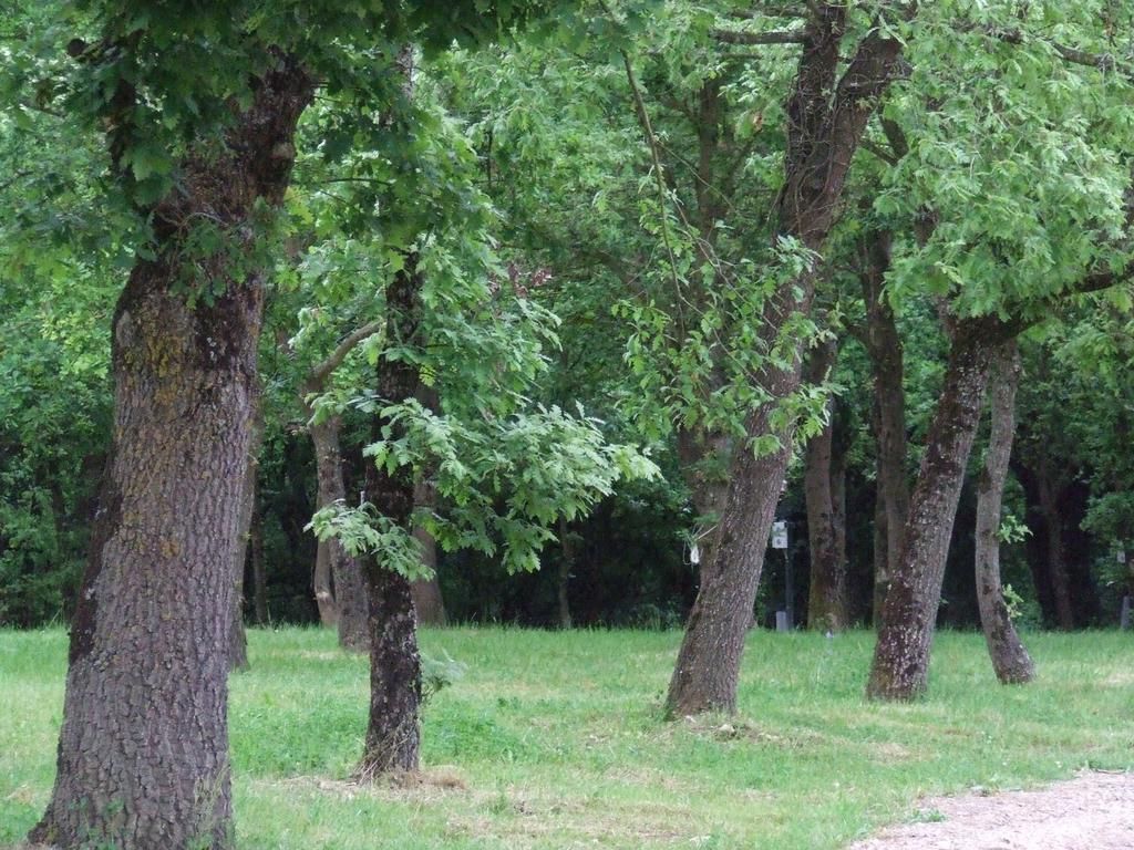 Camping Vila De Sarria Exterior photo